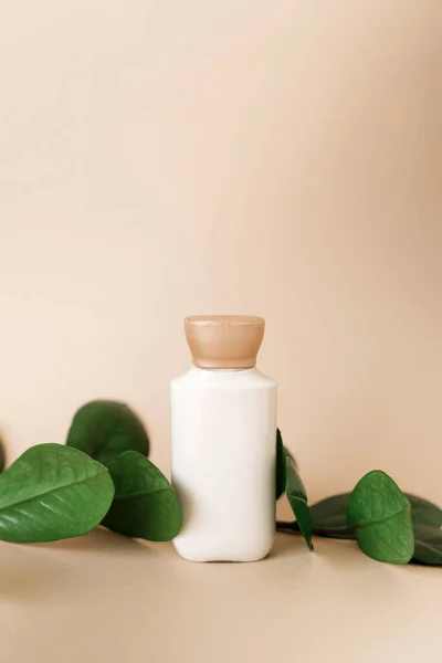 Una Botella Crema Para Cuidado Piel Cara Cuerpo Con Hojas — Foto de Stock