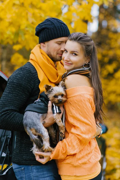 秋の公園で男と女が抱き合っていると 男は腕の中にかわいい犬を抱えている ペットのいる若い家族の肖像画 — ストック写真
