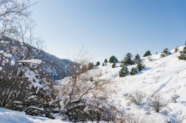 Tien Shan 'ın dağ zirveleri karla kaplı. Beldersay, güneşli bir günde kışın tatil beldesi