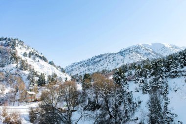 Özbekistan 'ın Beldersay tatil beldesi yakınlarında kışın güneşli havalarda karla kaplı güzel kaya dağları. Tian Shan dağ sistemi