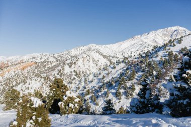 Özbekistan 'daki Beldersay kayak merkezinin tramvayından kış manzarası