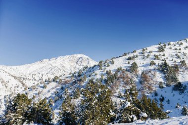 Soğuk bir kış gününde karla kaplı karlı dağ zirveleri