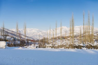 Özbekistan 'da karlı bir günde Tien Shan dağ sistemi