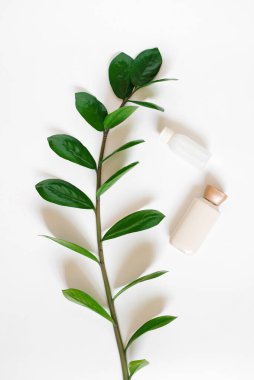 Kompozisyonu bedeni için bir dal zamiokulka ve bir şişe krema ile bembeyaz bir zemin üzerinde yatıyordu. Bitki içerikli kaplıca tedavileri ve organik kozmetik ürünleri kavramı