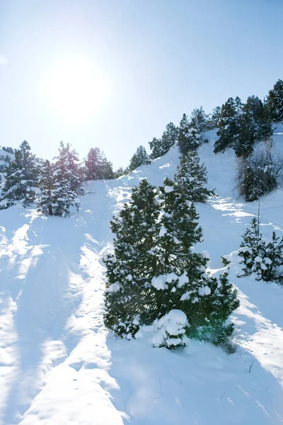 Hermoso Paisaje Invierno Montañas Bosque Invierno Clima Soleado Claro — Foto de Stock
