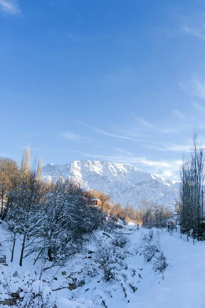 Гора Чимган Зимой Покрыта Снегом Ясный Солнечный День Узбекистане — стоковое фото