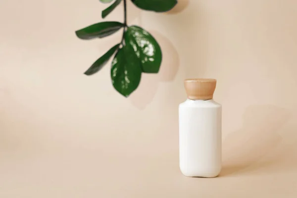 Natürliche Organische Kosmetikverpackung Aus Kunststoff Anordnung Mit Blättern Hintergrund Das — Stockfoto