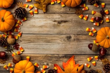 Cadılar Bayramı ve sonbahar düzlükleri