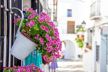 Altea eski şehir, İspanya geleneksel bir Akdeniz caddesi. Ön planda bir tencerede bazı pembe çiçekler