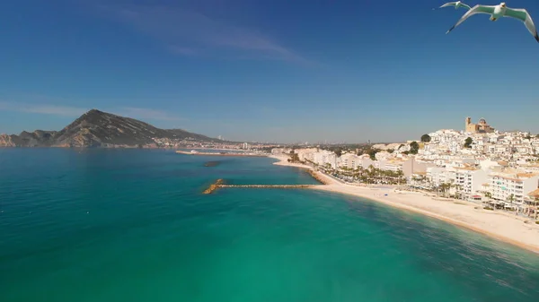 Altea şehrinin havadan görünümü, Alicante, İspanya. Ön planda uçan iki martı — Stok fotoğraf