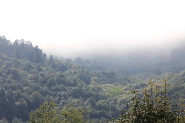 Asturias, İspanya'da sisli dağlar