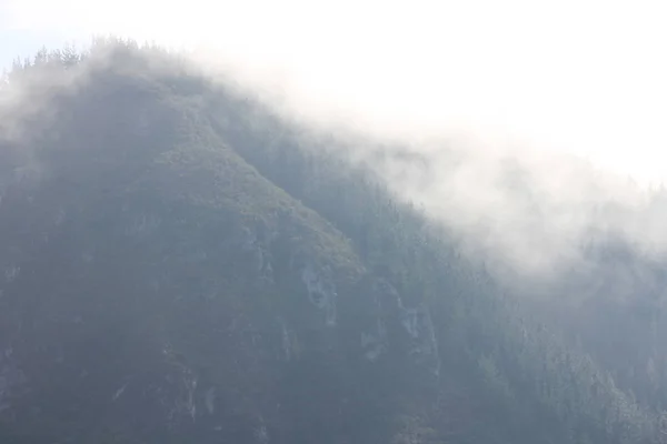 Berge mit Nebel in Asturien, Spanien — Stockfoto