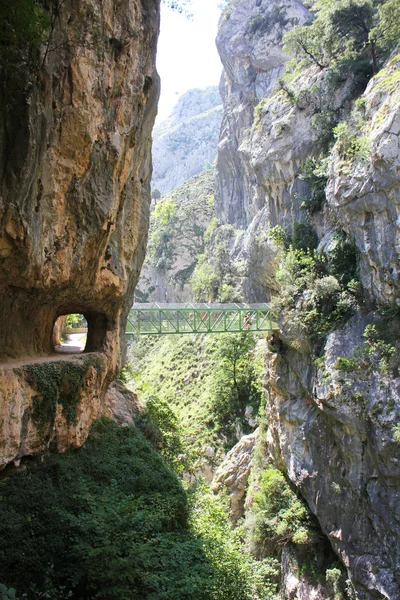 Bakımları nehir yolu, Asturias, İspanya bir kanyonda bir yol