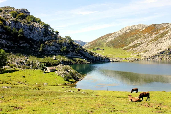 Panoramik Covadonga göllerde Asturias, İspanya