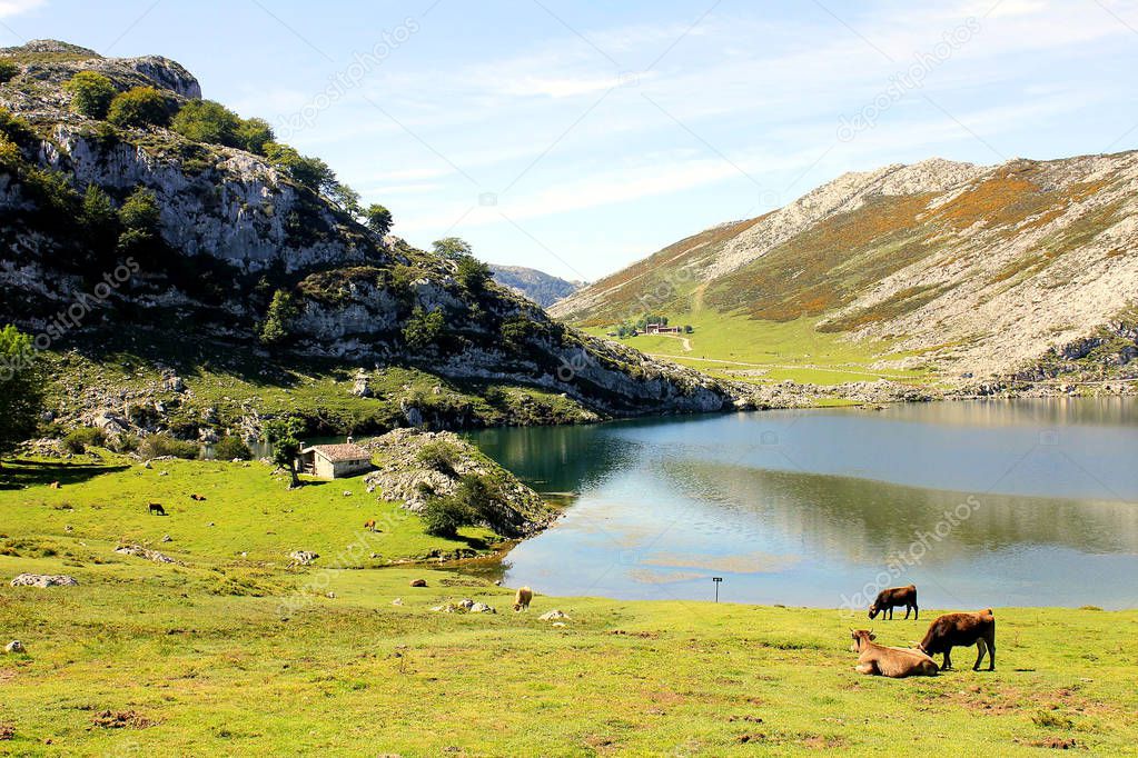 Panoramic view of Covadonga Lakes in Asturias, Spain