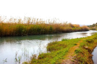Sonbahar, sakin nehirde Pego-Oliva Marjal sulak alan doğal park
