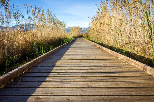 Wooden path in a bird observatory, in the wetlands natural park La Marjal in Pego and Oliva, Spain