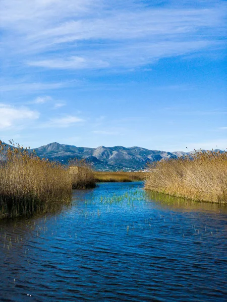 Panoramablick auf das Feuchtgebiet Naturpark la marjal in pego und oliva, Spanien. — Stockfoto