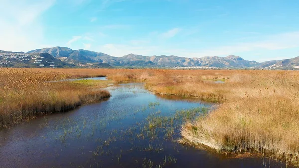 stock image Panoramic view of the wetlands natural park La Marjal in Pego and Oliva, Spain.