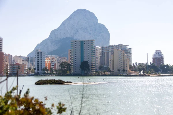 Nature park av Las Salinas sjö i Calpe, Spanien, med vissa flamingos. Staden och Penon de Ifach är på i bakgrunden — Stockfoto