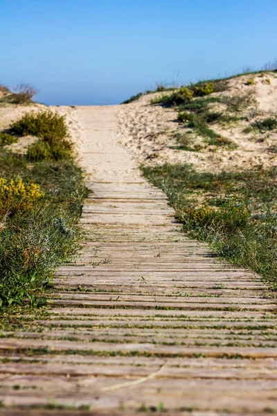 Wooden path through the dunes in a mediterranean beach