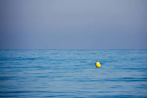 Bouée jaune dans la mer avec un oiseau debout dessus — Photo