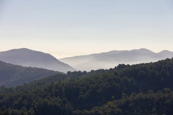 Alicante, İspanya çam ormanı. Adam içinde sisli dağlar — Stok fotoğraf