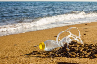 Plastik kirliliği. Bir plastik şişe ve sahil kıyısında altı paket plastik yüzük