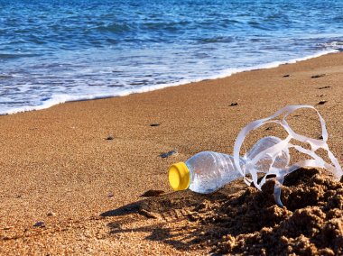 Plastik kirliliği. Bir plastik şişe ve sahil kıyısında altı paket plastik yüzük