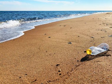 Plastik kirliliği. Sahil sahilinde plastik bir şişe