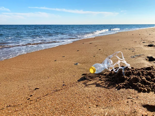 Plastik kirliliği. Bir plastik şişe ve sahil kıyısında altı paket plastik yüzük