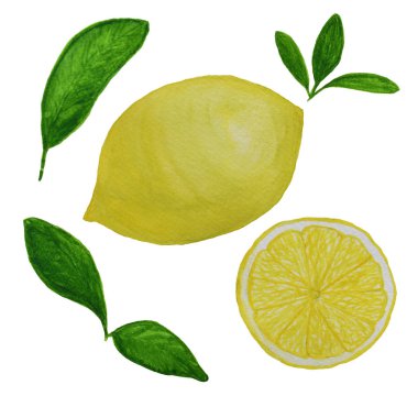 Güzel davet tasarımı, tebrik kartları, posterler ve çantalar için taze limon ve yaprakları ile suluboya limon seti.