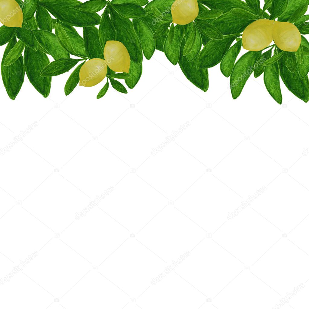 Bright vintage watercolor border with lemons and leaves. Floral 