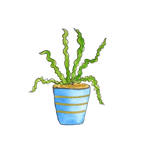 Akwarela kaktusów (soczyste rośliny) w doniczkach. Ręcznie rysowane s — Zdjęcie stockowe