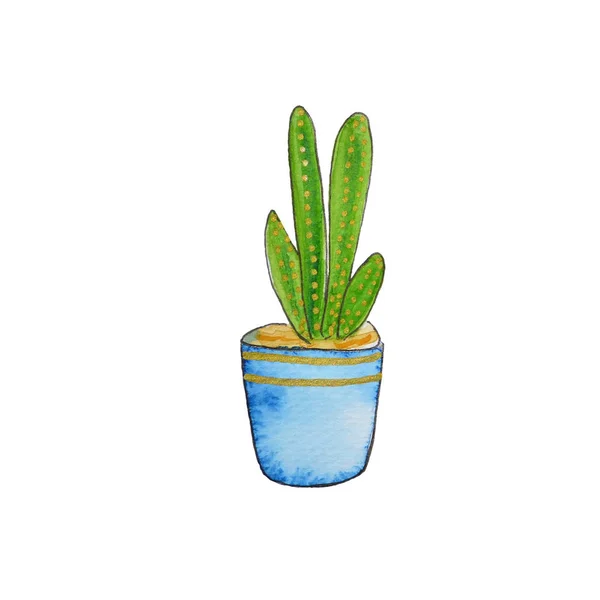 Cactus acuarela (plantas suculentas) en macetas. Dibujado a mano s — Foto de Stock