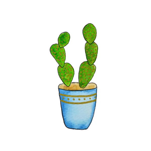 Watercolor cactus (succulent plants) in flowerpots. Hand drawn s — Stock Photo, Image