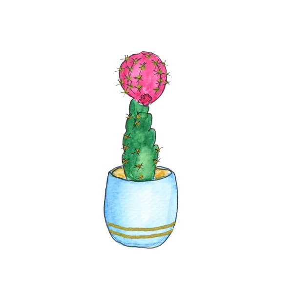 Cactus aquarelle (plantes succulentes) en pots de fleurs. Dessinés à la main — Photo