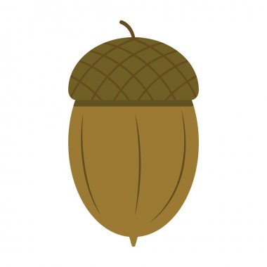 Beyaz arka plan simgesi çiziminde meşe palamudu