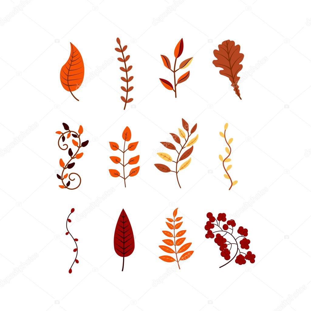 Autumn leaves and branches of different trees colorful Vector illustration