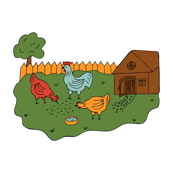 村里的院子里有一只会走路的母鸡和一只公鸡 多彩的矢量插图在卡通风格 家禽在散步 夏天的时候院子里的鸡舍国家生活 — 图库矢量图片