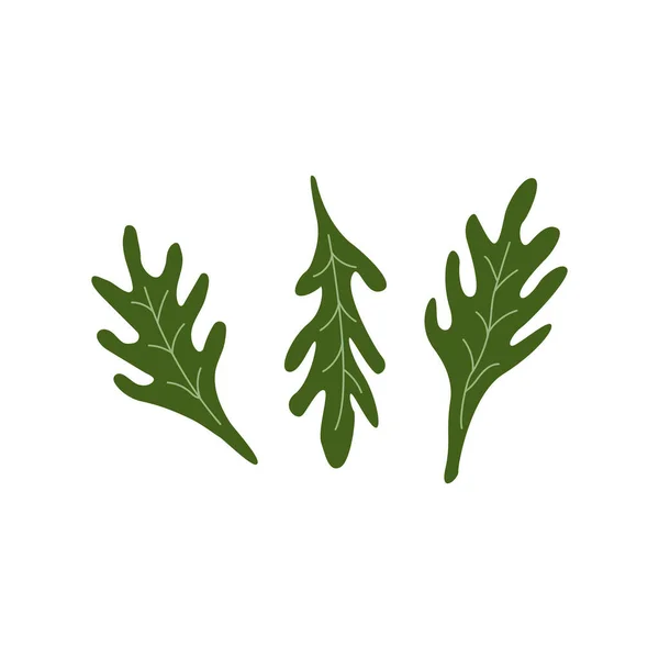 Zelené Listy Salátu Arugula Rucolo Zdravé Vegetariánské Jídlo Barevné Vektorové — Stockový vektor