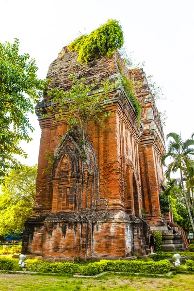 Yataklı Kule Bir Antik Mimari Cham Quy Nhon Viet Nam — Stok fotoğraf