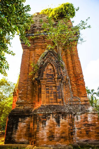 Twin Towers Ancient Architecture Cham Quy Nhon Viet Nam — Stock Photo, Image