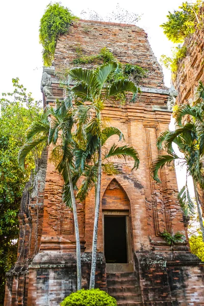 Yataklı Kule Bir Antik Mimari Cham Quy Nhon Viet Nam — Stok fotoğraf