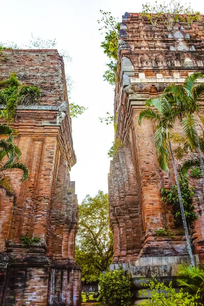 Yataklı Kule Bir Antik Mimari Cham Quy Nhon Viet Nam — Stok fotoğraf