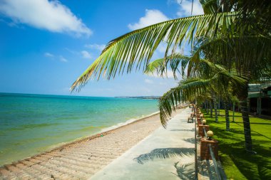 Mavi gökyüzü ve MUI Ne, Binh Thuan Eyaleti, Vietnam, Hindistan cevizi ile güzel bir plaj