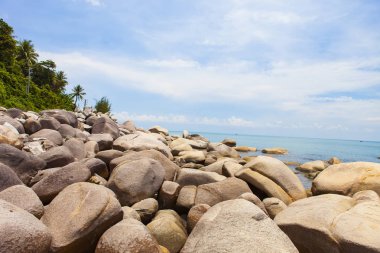 Oğlu ada, Kien Giang, Vietnam kumsalda. Phu Quoc Adası