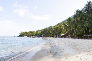 Hindistan cevizi beach oğlu adada, Kien Giang, Vietnam, Hindistan cevizi ağacı. Phu Quoc Adası