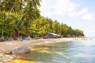 Hindistan cevizi beach oğlu adada, Kien Giang, Vietnam, Hindistan cevizi ağacı. Phu Quoc Adası