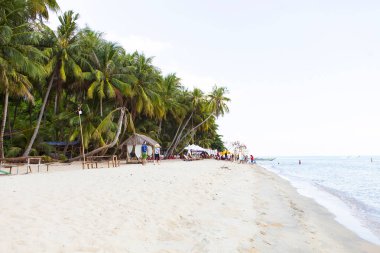 Hindistan cevizi beach oğlu adada, Kien Giang, Vietnam, Hindistan cevizi ağacı. Phu Quoc Adası